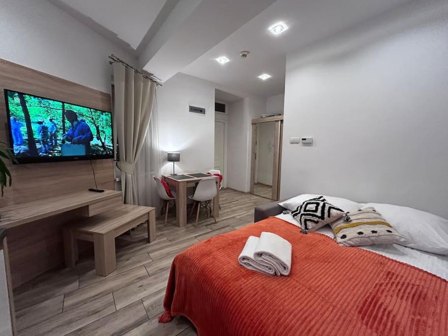 Old Town - B5 Apartment *